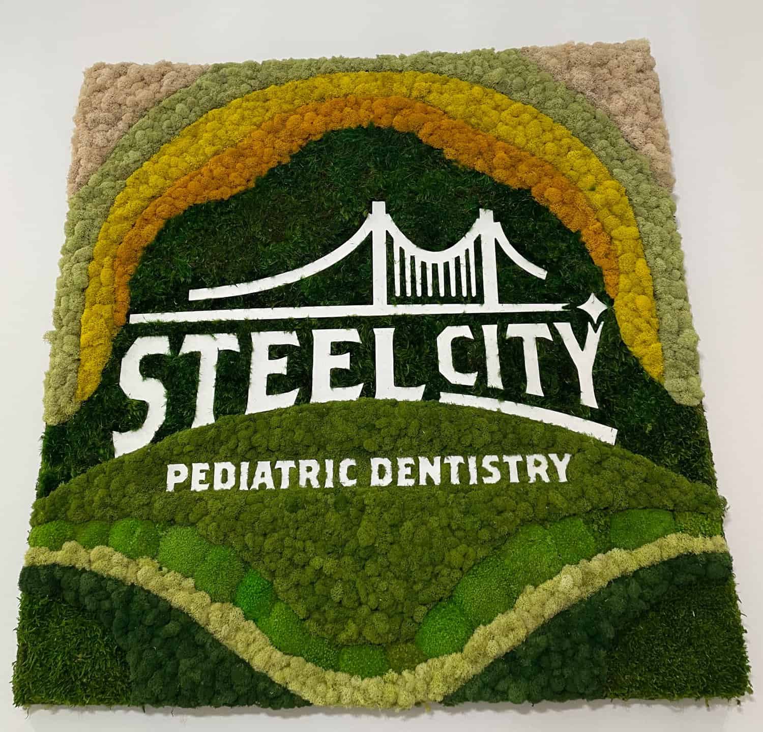 Learn More About Steel City Pediatric Dentistry
